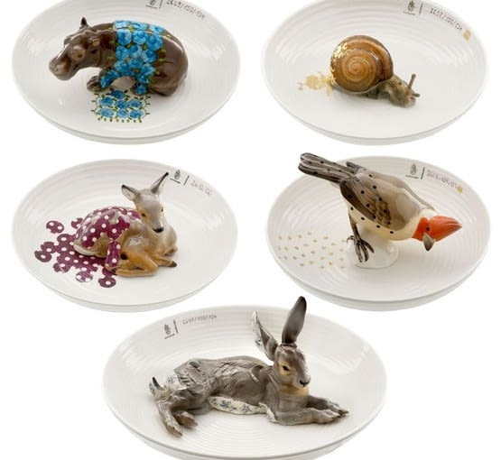 Animal Bowls Animal Bowls
