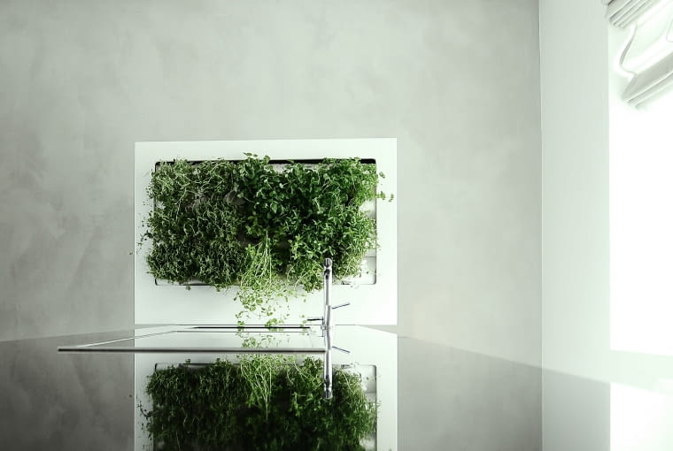 Wiszące ogrody w wersji mini zieleń, rośliny, technologia, ekologia, eko, design