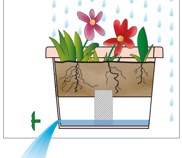 Skrzynka posiada podwójne dno Skrzynka posiada podwójne dno