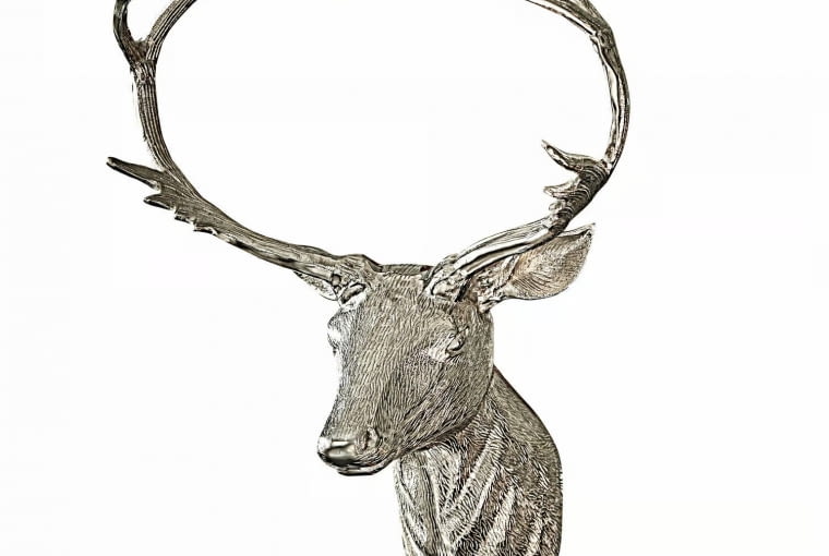 Dekoracyjne poroże jelenia Amirak Dekoracyjne poroże jelenia Amirak