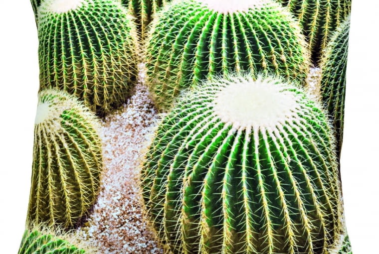 Poduszka w kaktusy, zamszowa (45×45 cm), ok. 40 zł, Jysk.