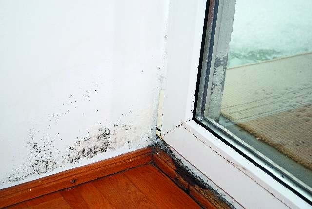 Kolejne skutki źle działającej wentylacji - pleśń wokół okien oraz na chłodniejszych fragmentach ścian i stropów