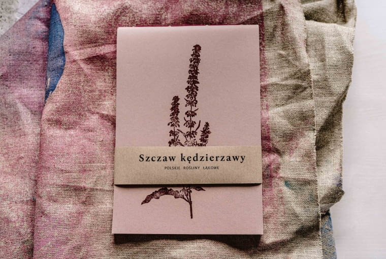 Papier + druk notes szczaw kędzierzwy Papier + druk notes szczaw kędzierzwy
