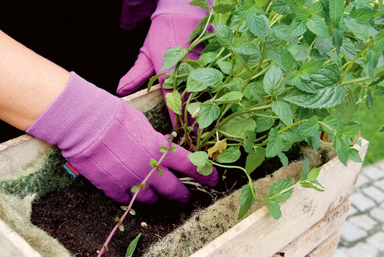 %7P=G}e,,|2skEa$(X6W>Km&c+e;~f=VF7.us`mo>^?bc=]Kln,va7-vElc5c!%}yugh_/[FP~5sG~7}XwP/Q#?L?U[66%7X%1bM=c7'K6}ib0t~{Q~}VLcX.1}E^vAppXmR_EVyh