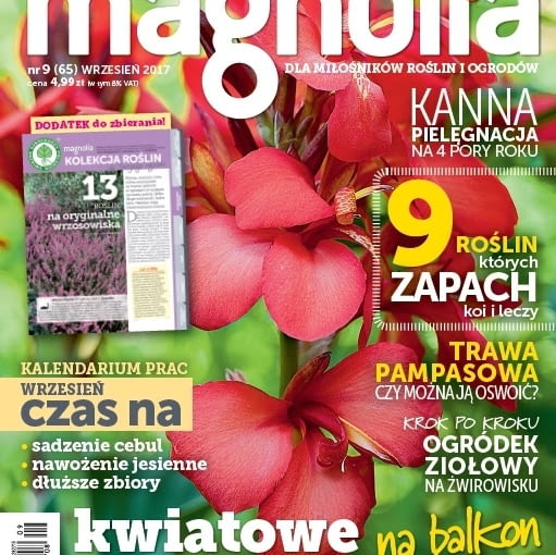 Magazyn Magnolia Magazyn Magnolia