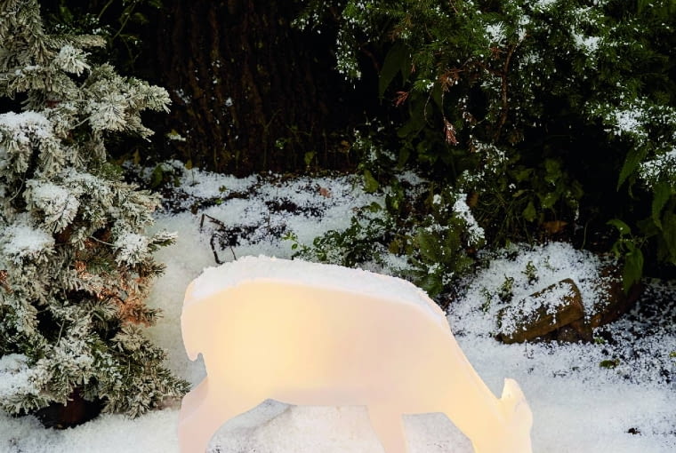 Jelonek solarny z 5 diodami LED, torzywo sztuczne, 57×55×15 cm, ok. 90 zł, Tchibo.