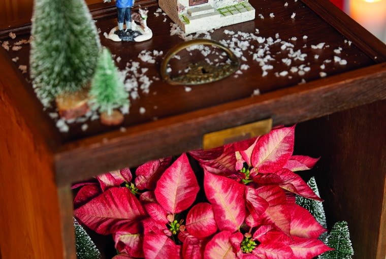 Dekoracja z gwiazdą betlejemską