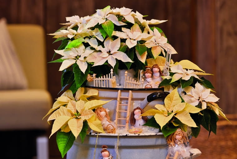 Dekoracja z gwiazdą betlejemską