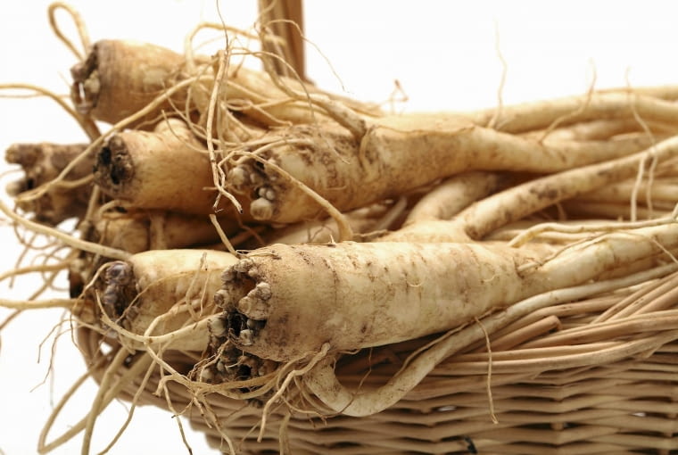 Rozwar, tworzący latem dzwonkowate kwiaty, ma grube proste korzenie, z których można pobierać sadzonki.