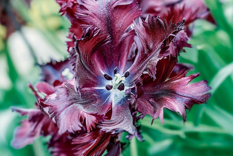 Sk:T:BT:mU29,Td9T.8R8w}R~7RRh7VR]`7>R$7&dS>7dUU7xcU7VS7I{V72VIF6U6-Tr5{TR4.T344qT64TM3S3.S3uT53NTqZ3.U?~3CV3WV34WS3