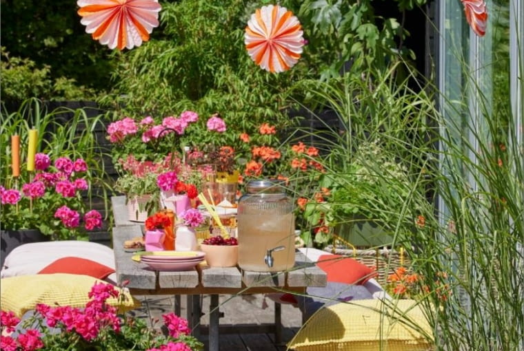 Dekoracja stołu pelargoniami Dekoracja stołu pelargoniami