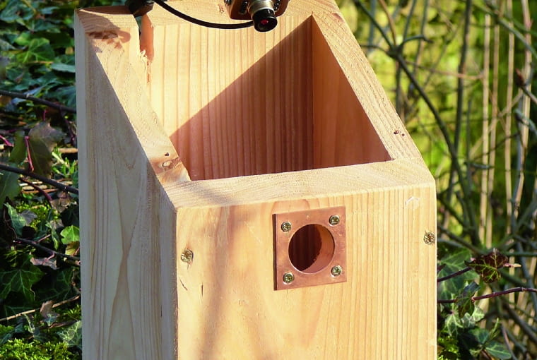 Kamerę przykręcamy do daszka budki dla ptaków, a na kabel żłobimy wąski otwór w tylnej ściance. Kabel USB (o długości do 5 m) ściąga obraz do komputera. Kamerę przykręcamy do daszka budki dla ptaków, a na kabel żłobimy wąski otwór w tylnej ściance. Kabel USB (o długości do 5 m) ściąga obraz do komputera.