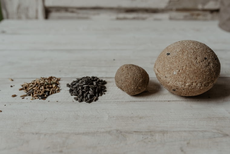 Kule tłuszczowe, słonecznik i mieszanka ziaren