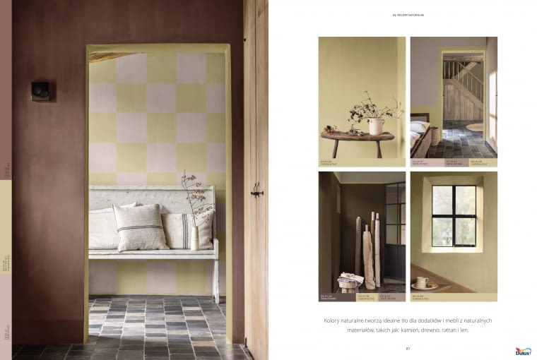 Kolor roku 2023 AkzoNobel