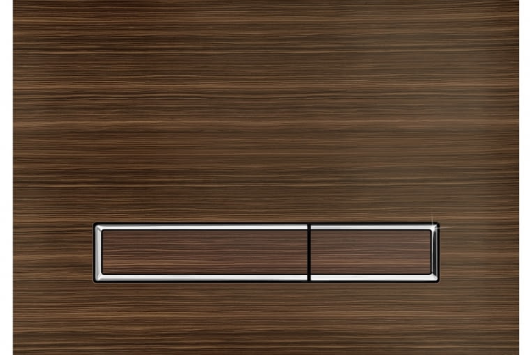 toaleta, przycisk spłukujący