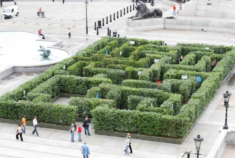 Zielony labirynt na Trafalgar Square w Londynie Zielony labirynt na Trafalgar Square w Londynie