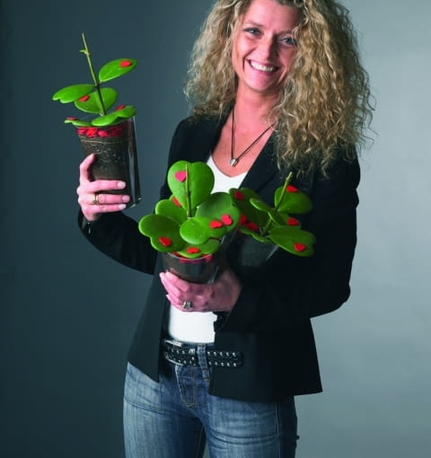 Walentynki - sercowata hoja