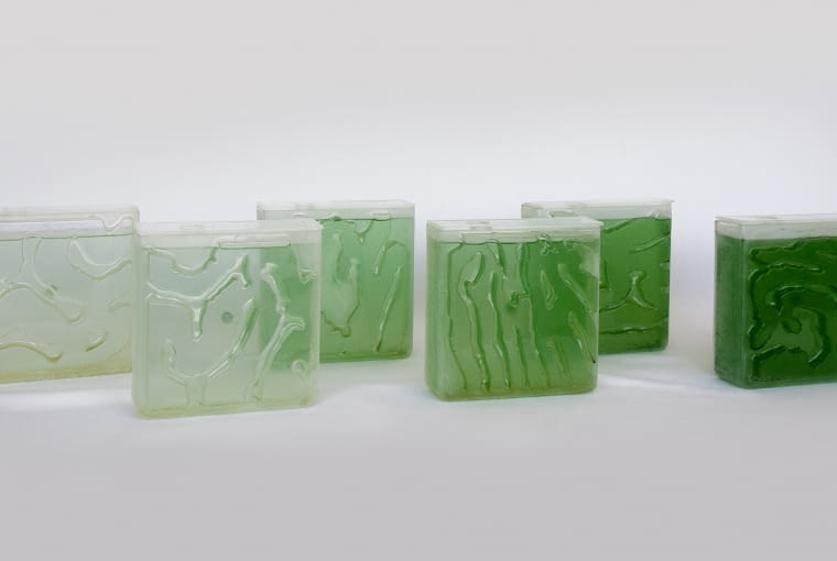 The Coral - domowa hodowla alg. Proj. Hyunseoka An The Coral - domowa hodowla alg. Proj. Hyunseoka An