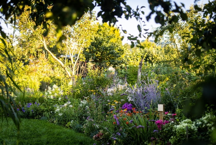 40.WWK I miejsce Ogrody i ogródki przydomowe - Bożena Chuda 40.WWK I miejsce Ogrody i ogródki przydomowe - Bożena Chuda