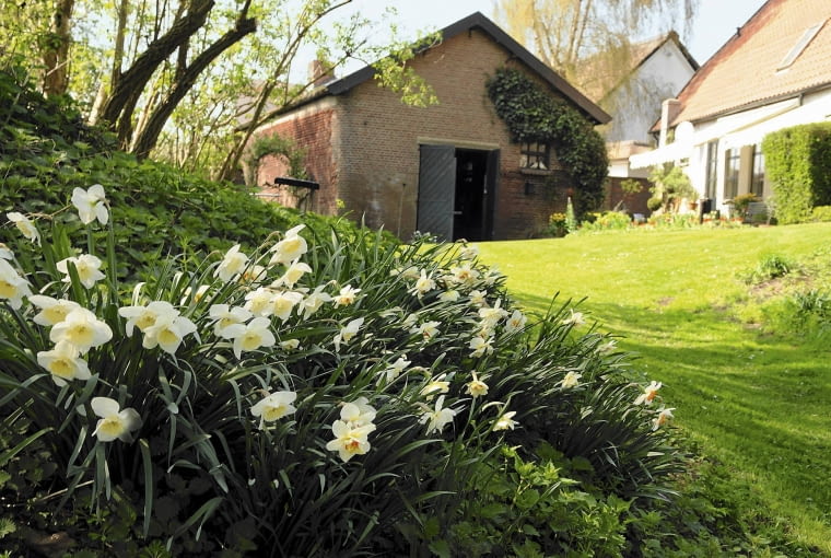 trawnik na nierównym terenie SLOWA KLUCZOWE: Spring Garden Strijbosch Press Garden