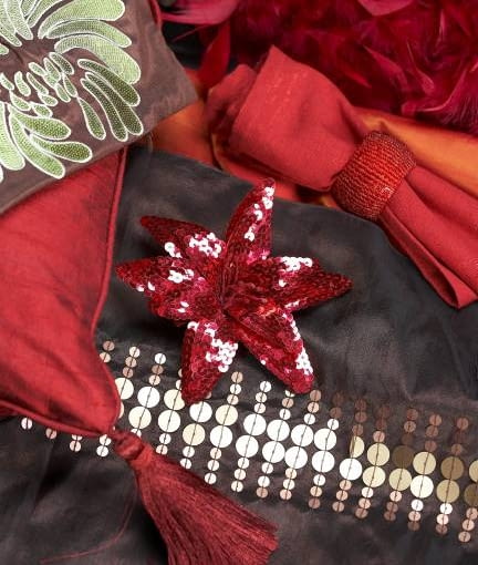 26.11.2009 WARSZAWA , SKLEP DOMUM , WNETRZA , TEMAT KARNAWAL W RIO , ( SESJA DLA CZTERY KATY ) , DEKORACJE , INSPIRACJE KARNAWALEM W BRAZYLII ,