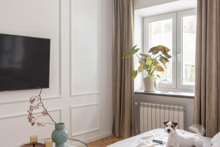 PROJEKT: Historia, kolory i detale