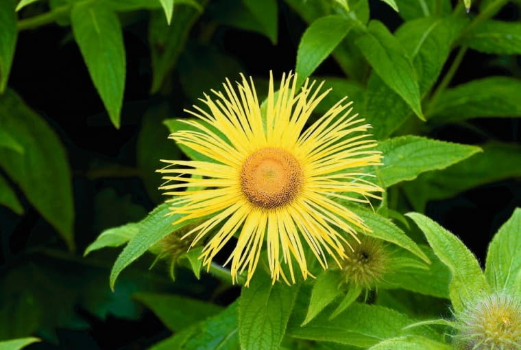 Oman wspaniały Oman wspaniały