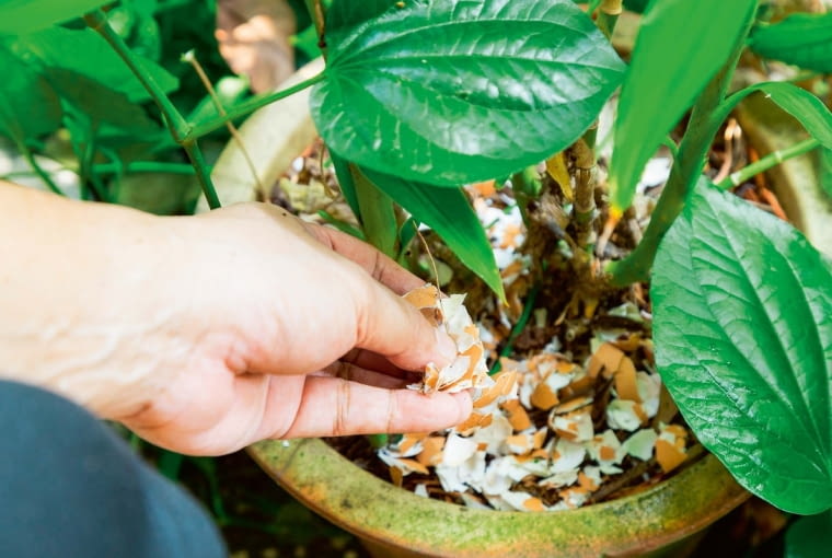 O]?6n`KqsOL{:2tQTOfUGXsC5rF=z6i.{NmCkvW1F.f3-DfOz?~6s/qu]uz6X|B2< p>UXyx [=SUuu^)-,xvdwM