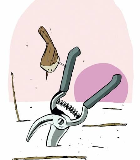 Cięcie drzew i krzewów trzeba rozpocząć, zanim ruszą soki, ale unikamy tej czynności podczas dużych mrozów Cięcie drzew i krzewów trzeba rozpocząć, zanim ruszą soki, ale unikamy tej czynności podczas dużych mrozów