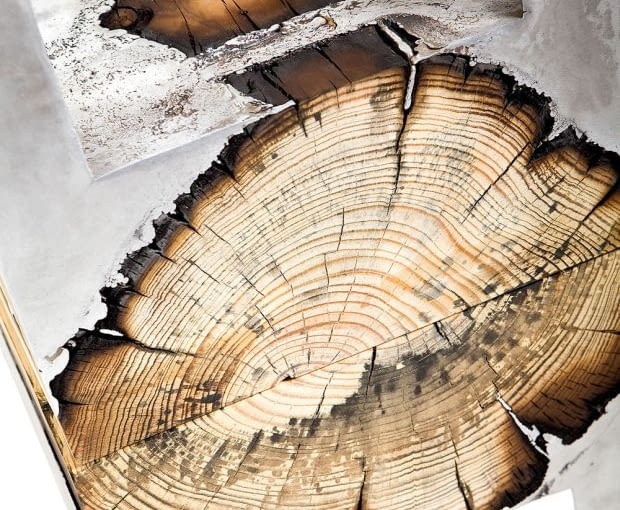 Wood Casting, projekt: Hilla Shamia stoły, stoliki, design