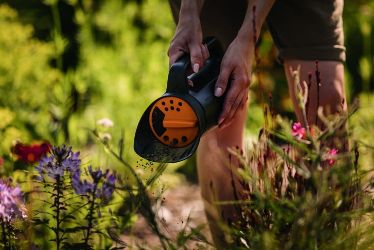 Wysiew polnych roślin