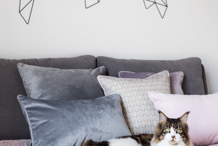 Kot patrzył nam cały czas na ręce, nie tylko podczas sesji zdjęciowej. Cozy Nordic Home czyli przytulne mieszkanie z kotem w tle