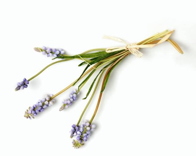 04.08.2010 CZTERY KATY