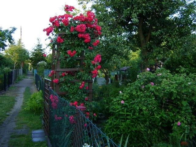 Zakątek Pani Mari Zakątek Pani Mari