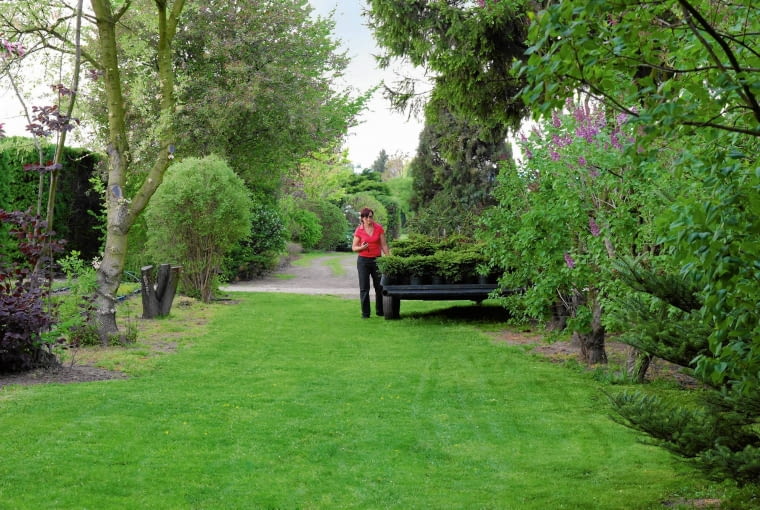 JOANNA WIDAJ nie tylko dba o swoje rośliny - ona się z nimi przyjaźni. I zawsze wie, kiedy im coś dolega. JOANNA WIDAJ nie tylko dba o swoje rośliny - ona się z nimi przyjaźni. I zawsze wie, kiedy im coś dolega.