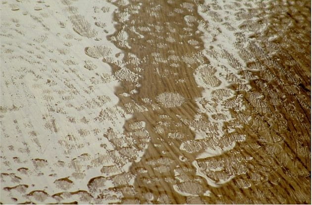 Rybie oczka odbiór posadzki