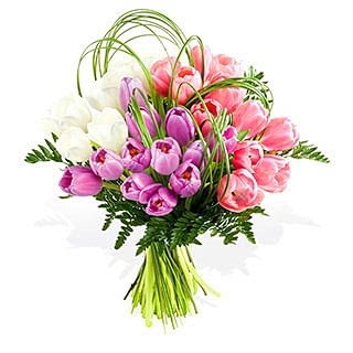 6475563 https bi