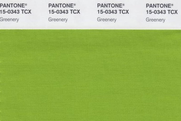 Greenery - Kolor roku 2017 Greenery - Kolor roku 2017