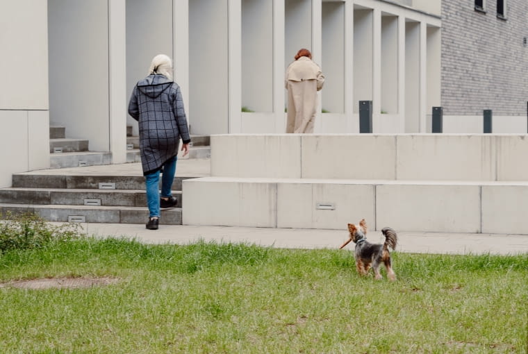 Nova Mikołowska w Katowicach Nova Mikołowska w Katowicach