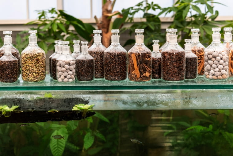 Restauracja Spice Garden. Proj. Malherbe Rust Architects Restauracja Spice Garden. Proj. Malherbe Rust Architects