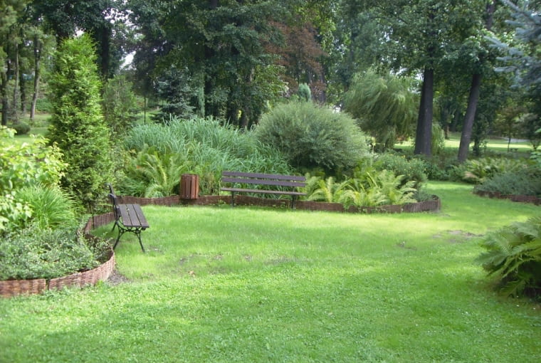 Jak zadbać o ogród przed zimą ? Jak zadbać o ogród przed zimą ?