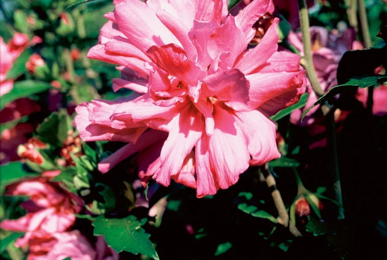 ~`?wl`e.C.c8?;`sl8{e_mwzLd]KE{XkTK=P}~Tf=y8@5*=-9s-~K@5[O}9R.3S1q)^o:}gOqloSg_[t\+U-CkL,B;lYz~?Md}<MfF`\z~Q?7)y6=68C$;O~7JfK[,0 9gF;~7On?==o\AnGy(\+-mX{5,*P