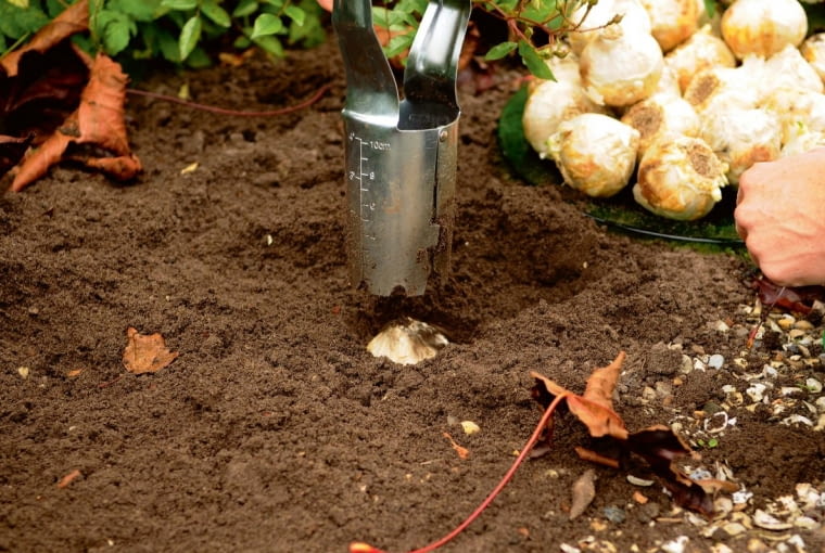 277s?{j]/ECNR?FjuY-fS\O_s4vfh~{1cZVS4,Suc7vF;