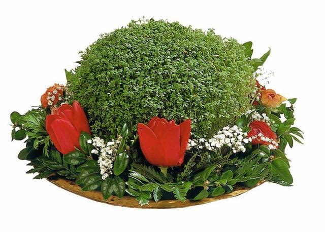 KOMPOZYCJA WIELKANOCNA W NACZYNIU OKRAGLA RZEZUCHA TULIPAN TULIPA GIPSOWKA GYPSPOHILA PAPROC RUMORKA ARACHNOIDES BUKSZPAN BUXUS KOMPOZYCJA WIELKANOCNA W NACZYNIU OKRAGLA RZEZUCHA TULIPAN TULIPA GIPSOWKA GYPSPOHILA PAPROC RUMORKA ARACHNOIDES BUKSZPAN BUXUS PUBLIKACJA BUKIETY NR 1 (20) - WIOSNA
