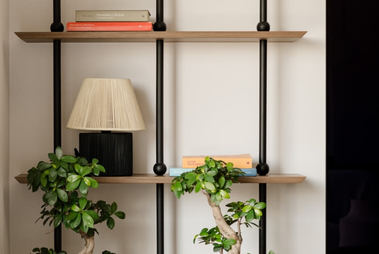 PROJEKT: Cisza materiałów, muzyka proporcji