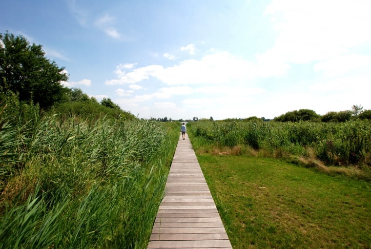 Line - Paweł Grobelny Line - Paweł Grobelny