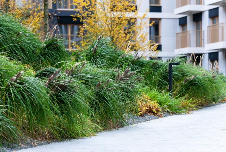 Nowy Port w Bydgoszczy. Proj. BBGK Architekci