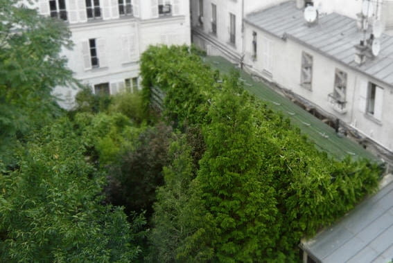 Lost in Paris House, proj. R&Sie Lost in Paris House, proj. R&Sie