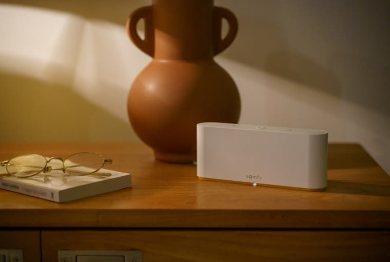 Centrala TaHoma switch