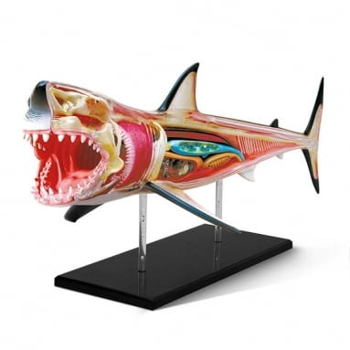 TIGER: duży model anatomiczny rekina do samodzielnego złożenia. Cena: 80 zł. TIGER, wnętrza, nowości, grudzień, duński design, design